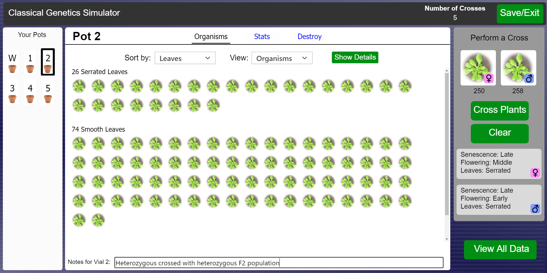 Arabidopsis Arabidopsis