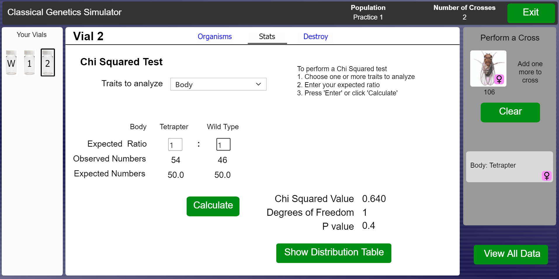 Drosophila Drosophila